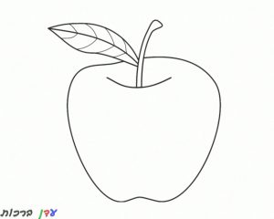 דף צביעה תפוח