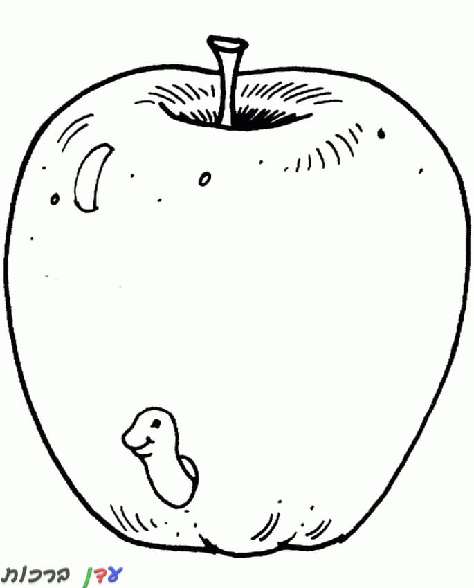 דף צביעה תפוח עם תולעת 1jpg