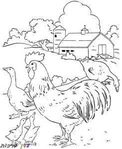 דף-צביעה-תרנגולות-מחוץ-לחווה-1.jpg