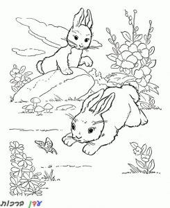 דף צביעהארנבים מחפשים פרפרים 1jpg